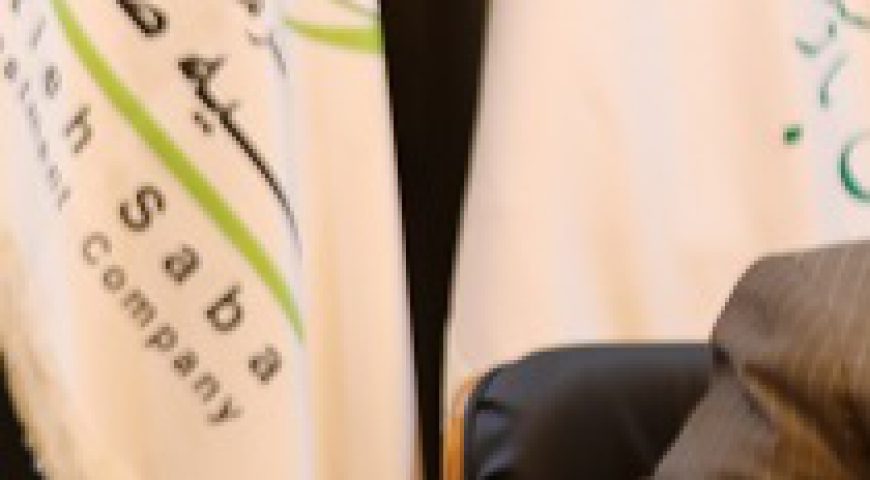 مدیرعامل آتیه صبا: بازدهی پایین در شرکت های گردشگری بدلیل سوءمدیریت است
