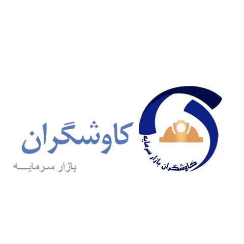 کاوشگران بازار سرمایه