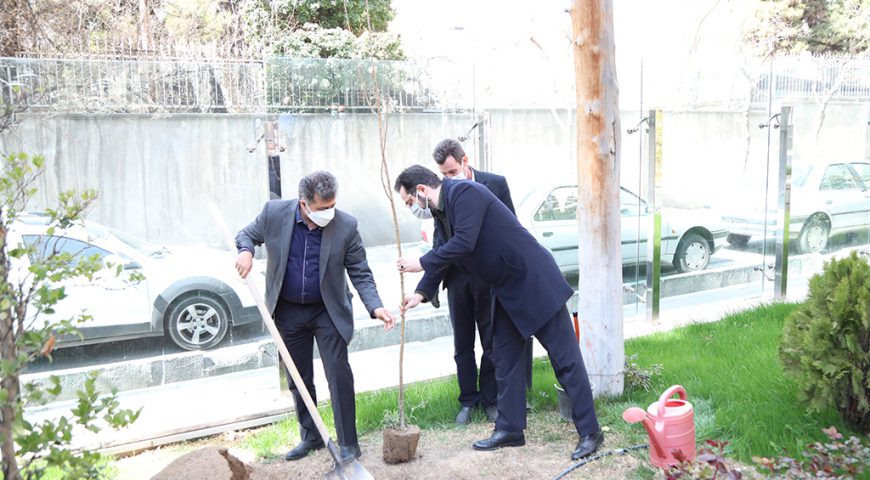 کاشت نهال توسط مدیرعامل شرکت سرمایه گذاری آتیه صبا به مناسبت روز درختکاری
