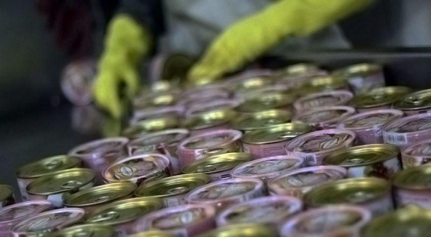 ” تن بندرعباس“ سرآمد در قدمت، اصالت و کیفیت