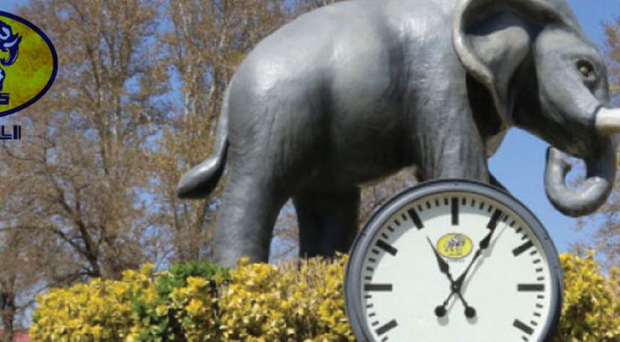 انتصاب سرپرست شرکت سرمایه گذاری گروه صنعتی ملی