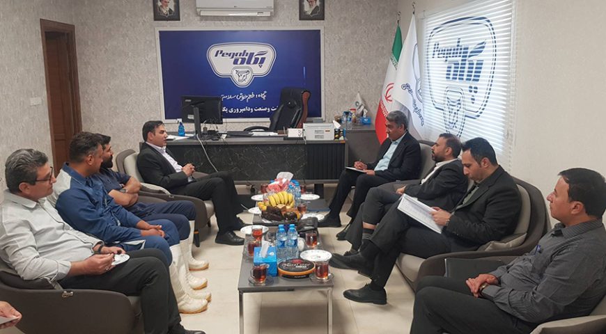 هم‌افزایی درون‌گروهی میان کشت‌وصنعت پگاه و مجتمع طیور فارس