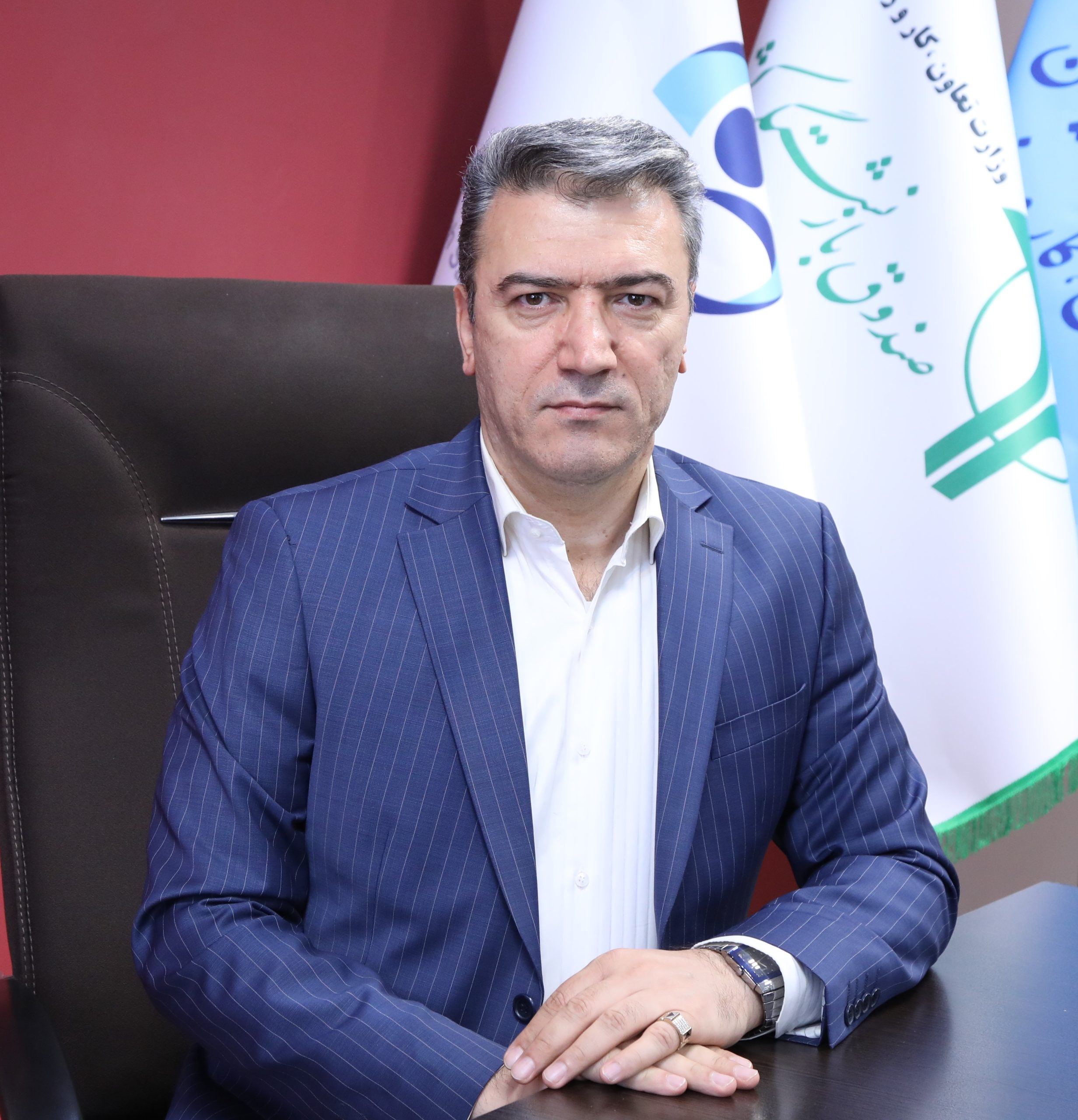حامد پاشازاده